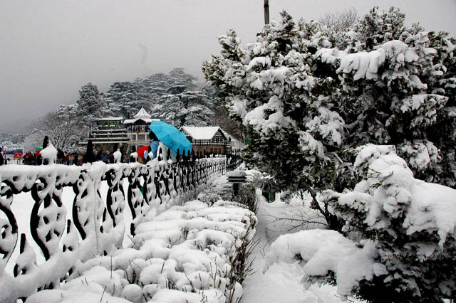 Shimla, Himachal Pradesh
