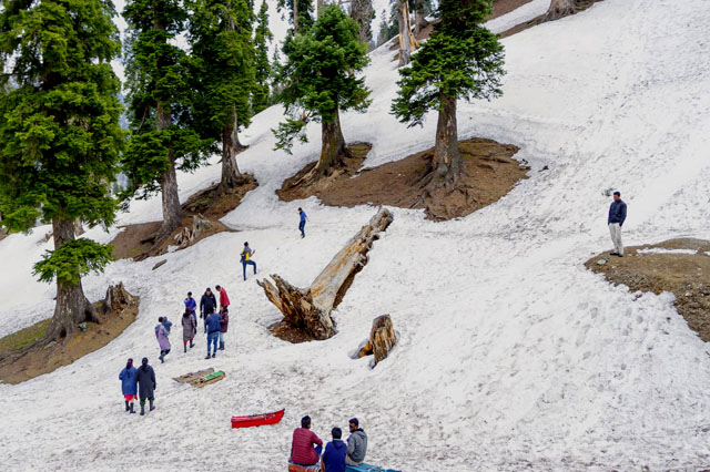 Sonamarg mountain landscape